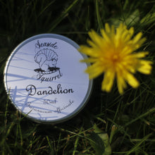 Load image into Gallery viewer, Dandelion Salve