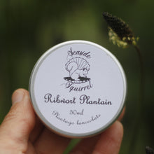 Load image into Gallery viewer, Ribwort Plantain Salve