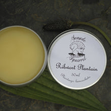 Load image into Gallery viewer, Ribwort Plantain Salve