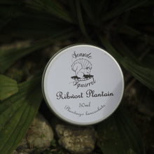 Load image into Gallery viewer, Ribwort Plantain Salve