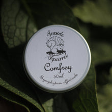 Load image into Gallery viewer, Comfrey Salve
